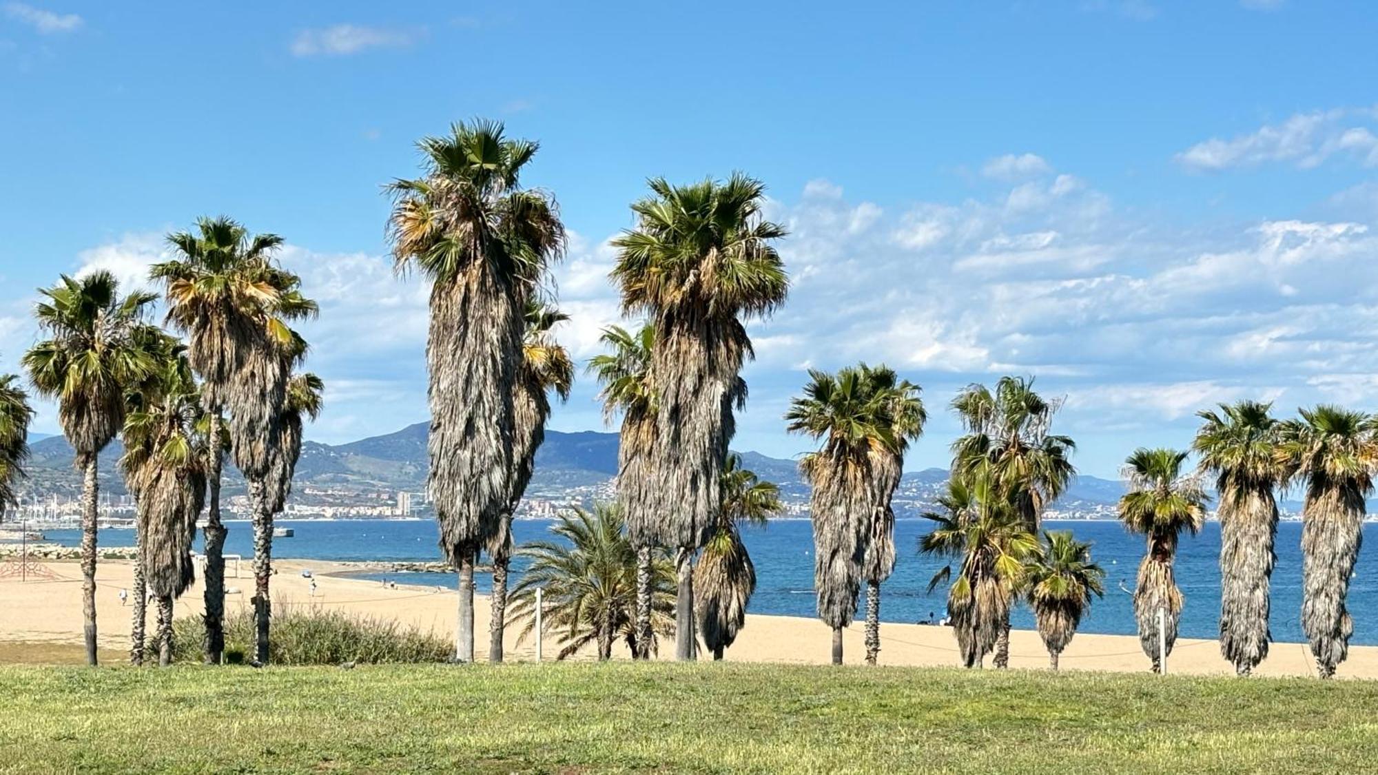 Torre Forum Lejlighed Sant Adrià de Besòs Eksteriør billede